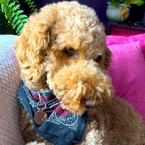 Meet your Posher, Heather r